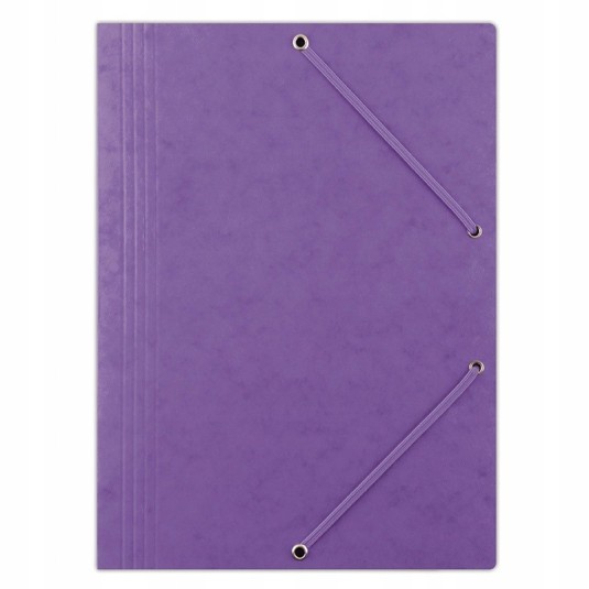 Teczka preszpanowa z gumką DONAU A4 fioletowa